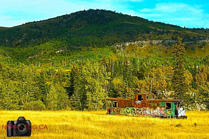 old train car - hdr toning.jpg